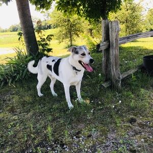 Meet your Posher, Youma